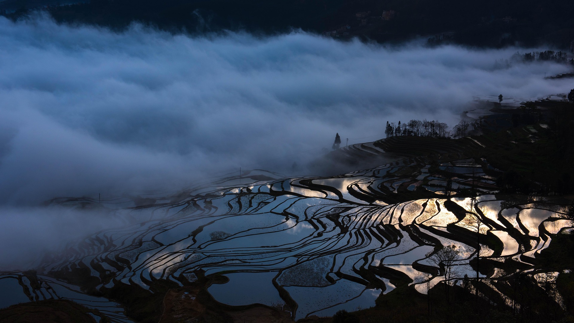 Paysage 3